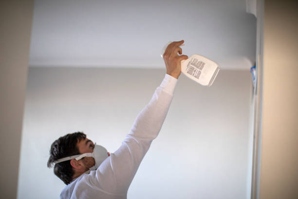 Best Mold Testing and Removal  in Canton, IL