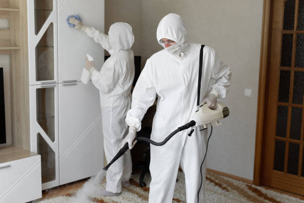 Best Home Mold Removal  in Canton, IL