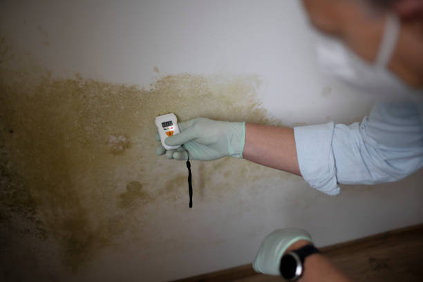 Water Damage Restoration in Canton, IL