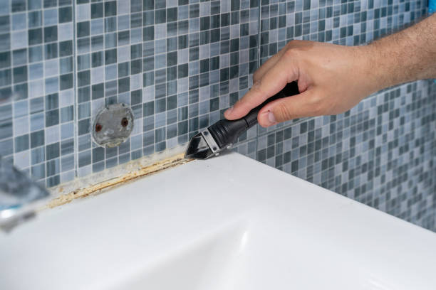 Best Attic Mold Removal  in Canton, IL