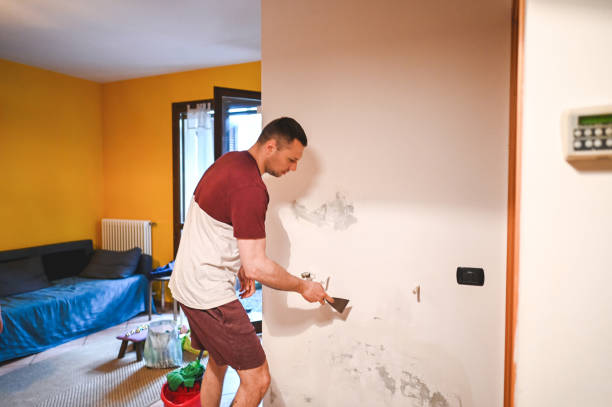Best Mold Damage Repair  in Canton, IL